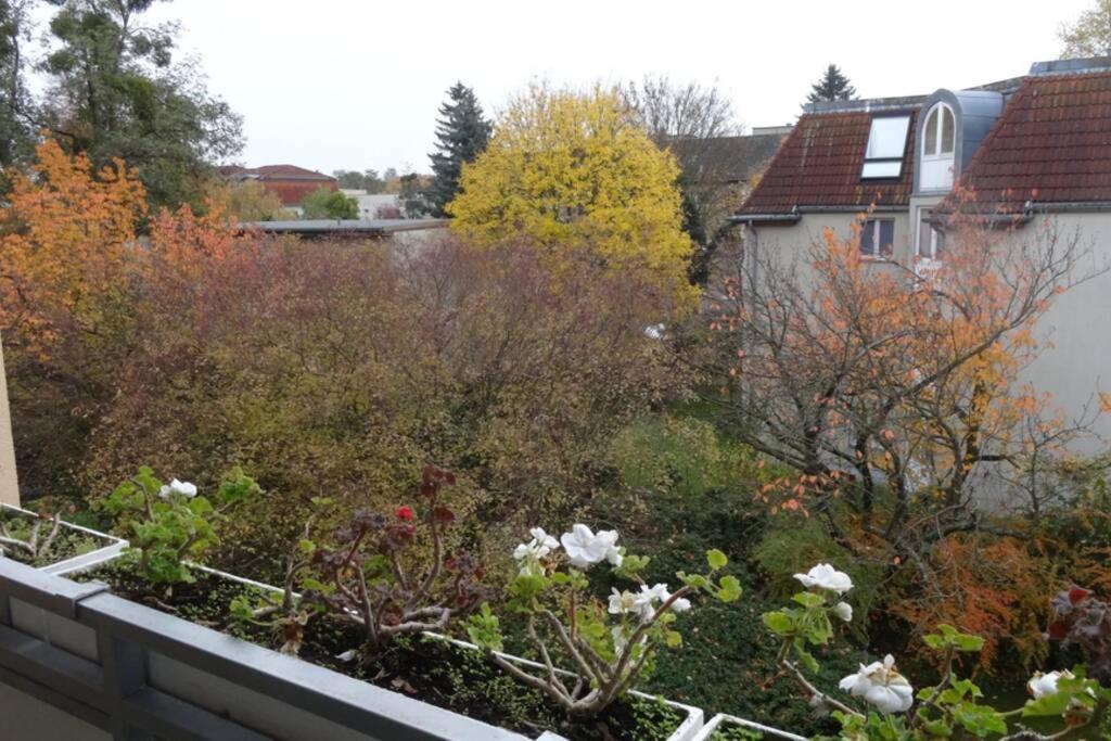 Apartment Schoene, Ruhige In Berlin-steglitz *