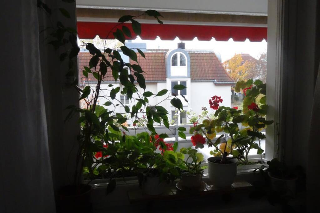 Schoene, Ruhige In Berlin-steglitz Berlin